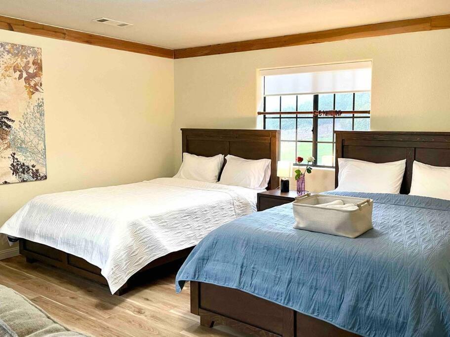 Panorama Paradiso By Casadeluz, 5acre 360 Retreat Close To Old Town Wine Country Temecula